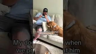 Pretend to bite your dog and see how it reacts.  #dog #dogtok #pet #doglife #funny #dogfunnyvideo