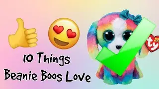 10 Things Beanie Boos LOVE! | Jada Jones