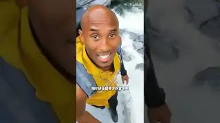 科 比 带 我 鳌 太 线 求 生 