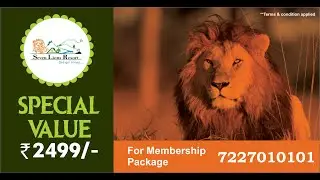 Seven Lions Resort Sasan Gir - Privilege Membership Package at just Rs. 2499/-
