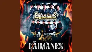 Los Caimanes
