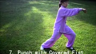 Taichi For Energy (TCE) - Front View
