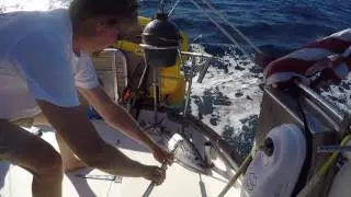 How We Do Fish on Libra!