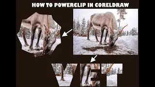 How to PowerClip in Coreldraw