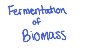 Fermentation of Biomass