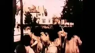 Wax Wolf - Followed