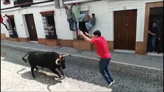 touro na rua villalba del alcor 2025 trinidad