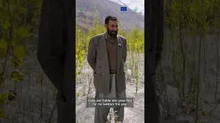 Energy Plus Project: Over 9,000 Trees Planted in Yasin | AKRSP & EU Initiative