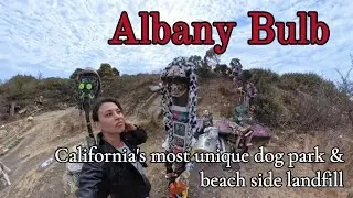 Exploring Albany Bulb: A California Hidden Gem & Shapeshifting Art Park - with my dog