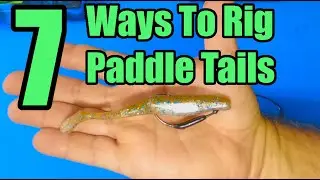 7 Ways To Rig Paddle Tail Soft Plastic Lures For Fishing