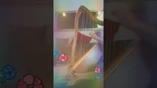 My 