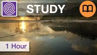 Chill Step - Music To Help Study - Aid for Study - Alpha Binaural Beat Music 📚 #BINSTUDY01