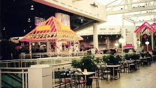 mallsoft memories