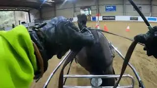 Single pony cones and obstacle driving, indoor carriage driving, Forest Edge Arena