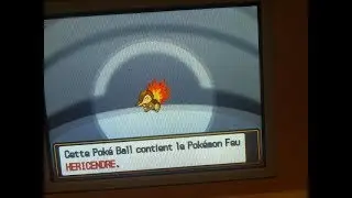 HERICENDRE/CYNDAQUIL SHINY 11674 RESET POKEMON SOULSILVER