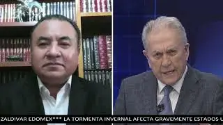 El efecto cucaracha en Guanajuato: David Saucedo #Entrevista