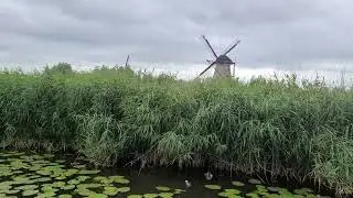 Bhuvi Gigi Visited Unesco Werelderfgoed Kinderdijk