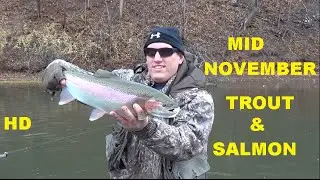NOVEMBER TROUT & SALMON - JIGS VS EGGS