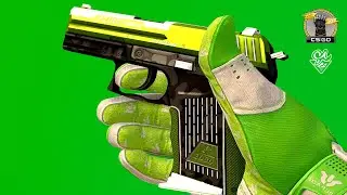 CSGO | P2000 | Turf | Glove Case