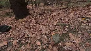 Ohio Goodyear Metropark nov 2024