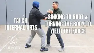 Tai Chi Push Hands: Sinking to Root & Turning the Body to Yield the Force