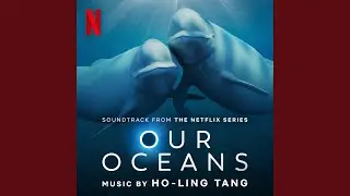 Our Oceans Theme
