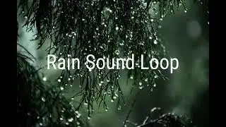 ADHD music/hyperfocus/Meditation Sound/Rain sound loop 2h