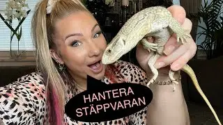 HANTERING MED ST&Auml;PPVARAN DEL 1 (intro)