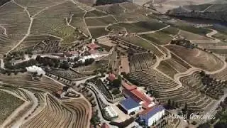 Vinhas do Pinhao rio Douro