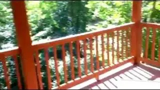 Brevard, NC Cabin Rentals Tour of our Dog Friendly Vacations Packages