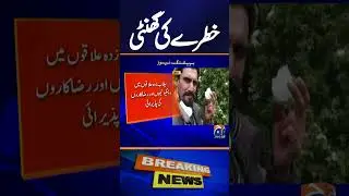 PM directs NDMA, district administration to continue rescue operations in Ghizer | Geo News