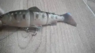 Line true trout review