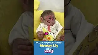 Умная обезьянка читает книгу и наслаждается арбузным смузи! #обезьянка #шорты #короткие