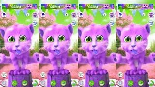 Talking Tom Cat
