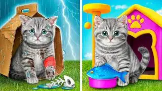 Крошечный Котенок Спасен и Обрел Дом | Секретная Комната для Маленького Котика c Multi DO Smile