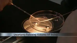 Uncertainty following Alabama IVF ruling