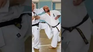 Кёкусинкай #1039 / Каратэ Мурманск / Поларбудо / Гэкисай дай - Бункай-2 (9.03.26)