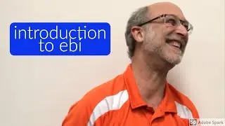 EBI - General Overview