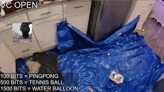 Quach Dat Luong immediately gathered capital to open a pig breeding - anniegurl131
