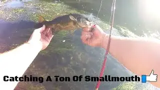 I caught a ton of small mouth bass on the Schuylkill river