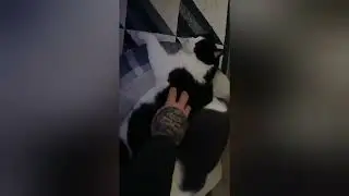 RootOfEvil