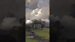 #viralvideo #wisdomfy #shortsviral #relatable #wisdomfeed #shortvideos #facts #wisdomfound #viral