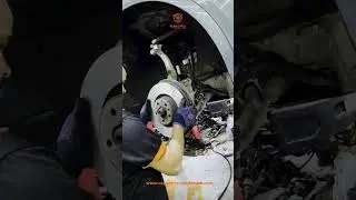 Treat your Audi to the full treatment