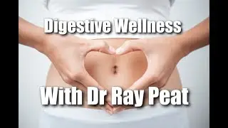 Dr. Ray Peat - How To Fix Your Digestion & Poop