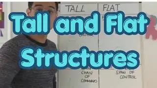Tall Structure vs. Flat Structure