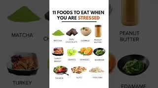 11 Best Foods for Stress Relief