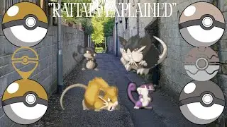 Rattata EXPLAINED | Complete Pok&eacute;dex Guide for Trainers 🐾