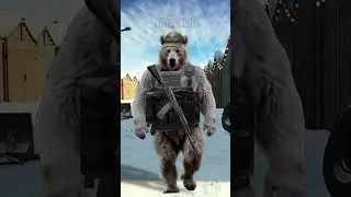 USEC or BEAR?!