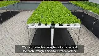 Smart Green Building
