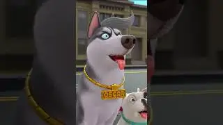 Pet House 🐱🐹 | Who's the greedy dog? (Sausage test)贪吃度测试 | Flying MOCO Shorts 爆笑飞狗MOCO (2022)